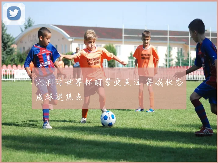比利时世界杯前景受关注 备战状态成球迷焦点