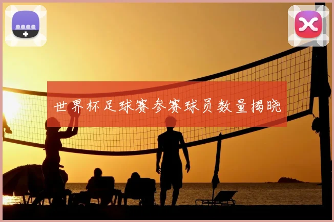世界杯足球赛参赛球员数量揭晓