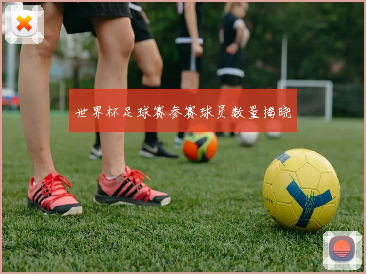 世界杯足球赛参赛球员数量揭晓