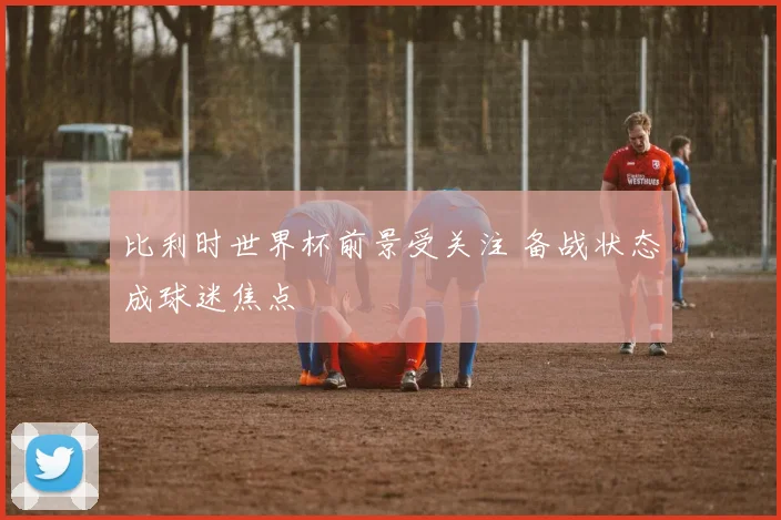 比利时世界杯前景受关注 备战状态成球迷焦点