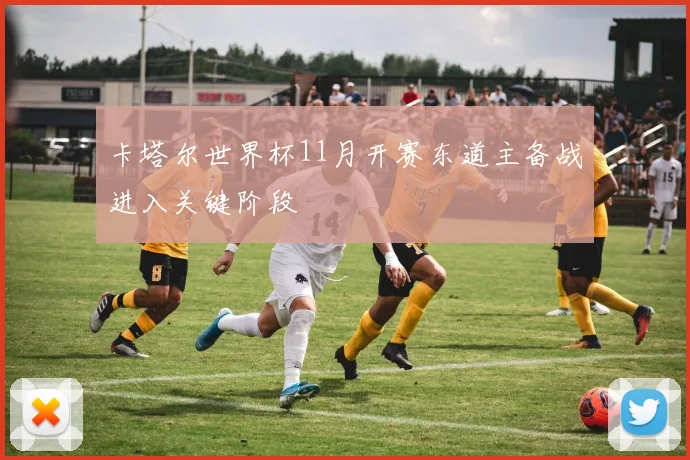 卡塔尔世界杯11月开赛东道主备战进入关键阶段