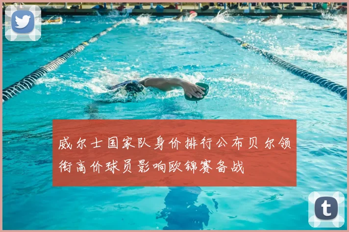 威尔士国家队身价排行公布贝尔领衔高价球员影响欧锦赛备战