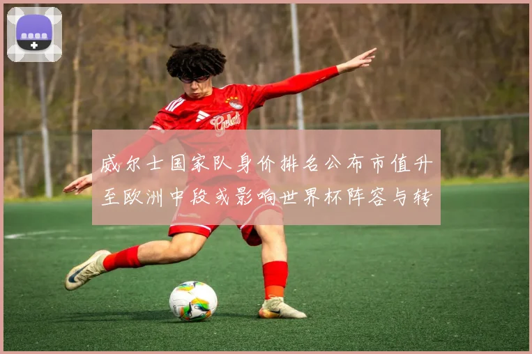 威尔士国家队身价排名公布市值升至欧洲中段或影响世界杯阵容与转会