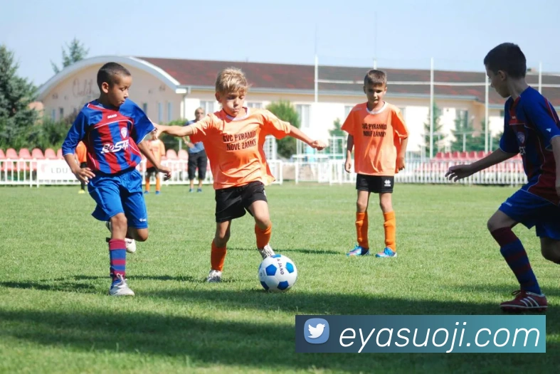 App Interface Preview