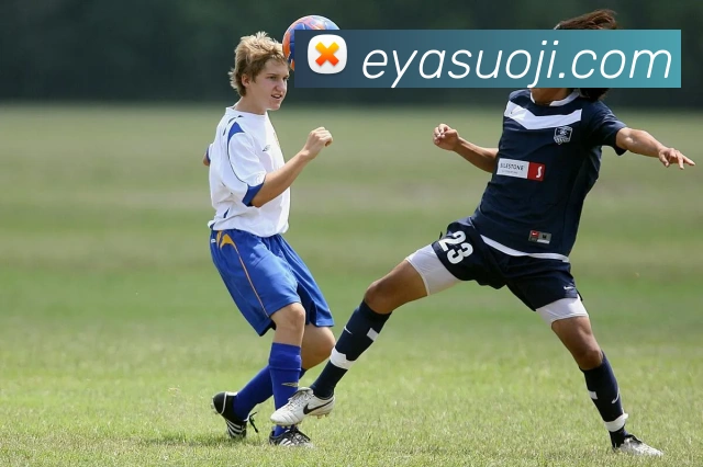 环球官网入口APP 封面图